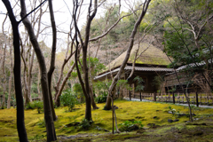 嵐山_祇王寺01