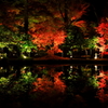 逆さ紅葉