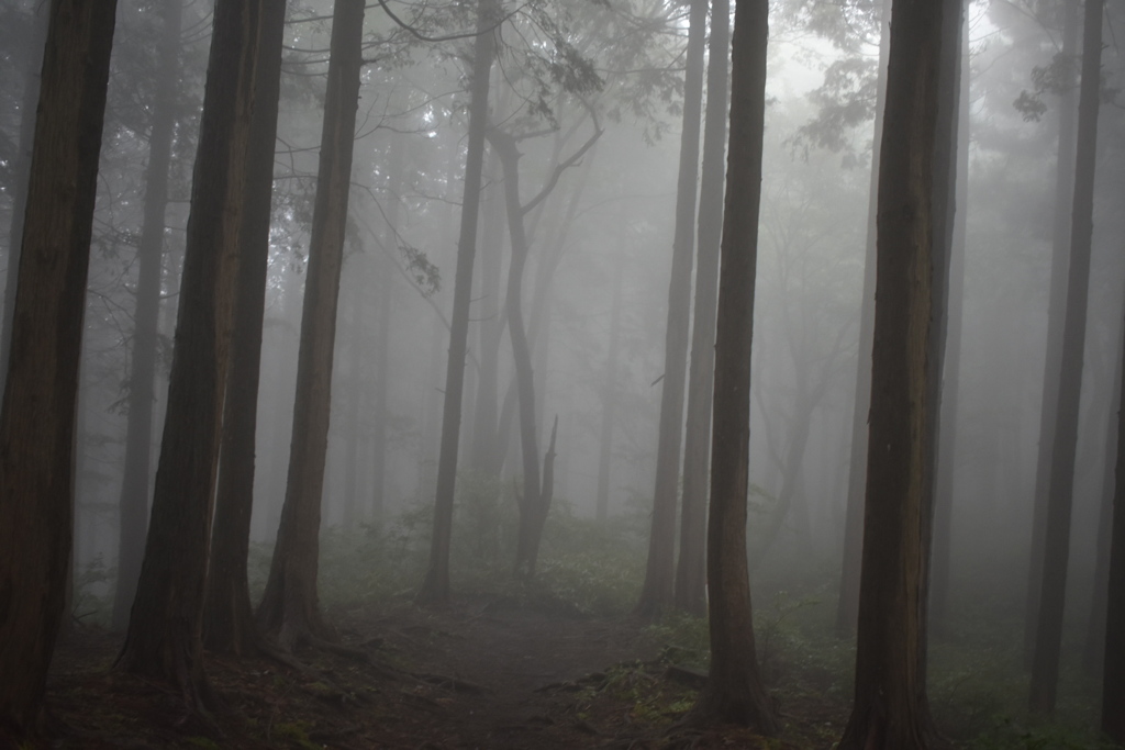 山と雲の中