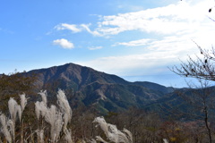 塔ノ岳から見る大山