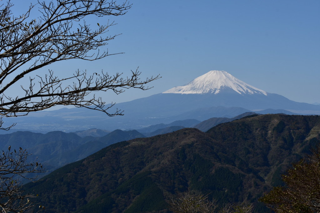 富士山　大山より