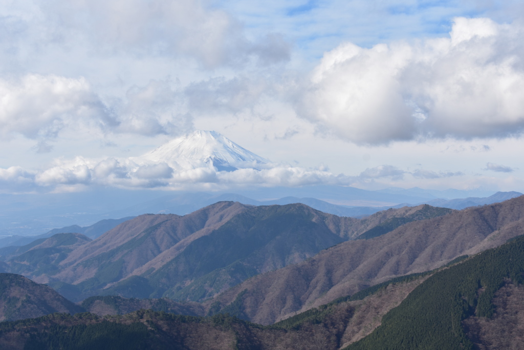 富士山