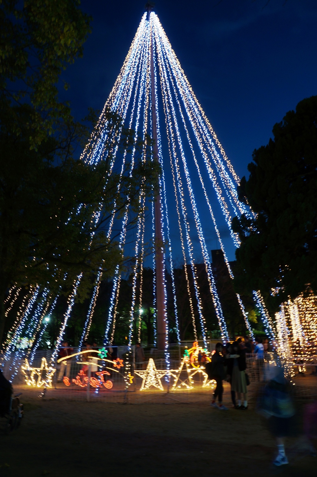 クリスマスの光