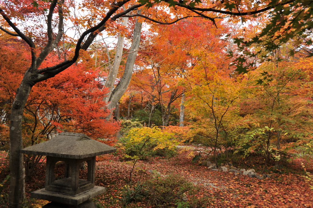 京都-嵐山　宝厳院