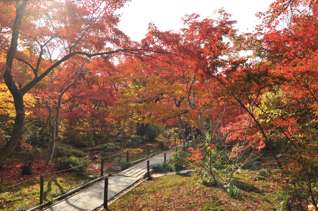 宝厳院