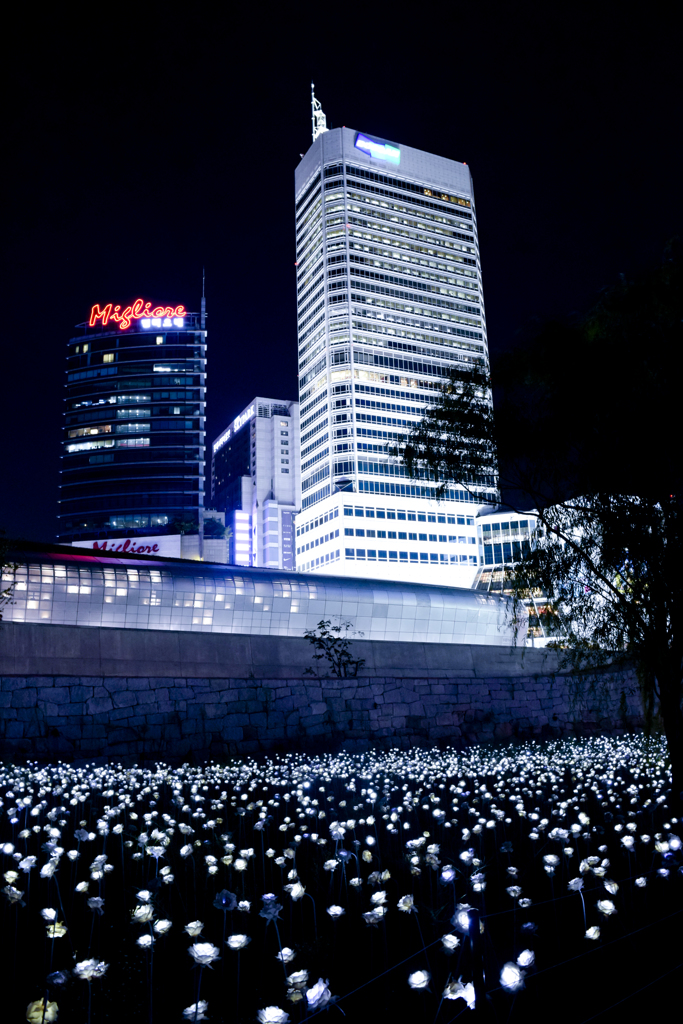 DDP(東大門 トンデムン 동대문)の夜景
