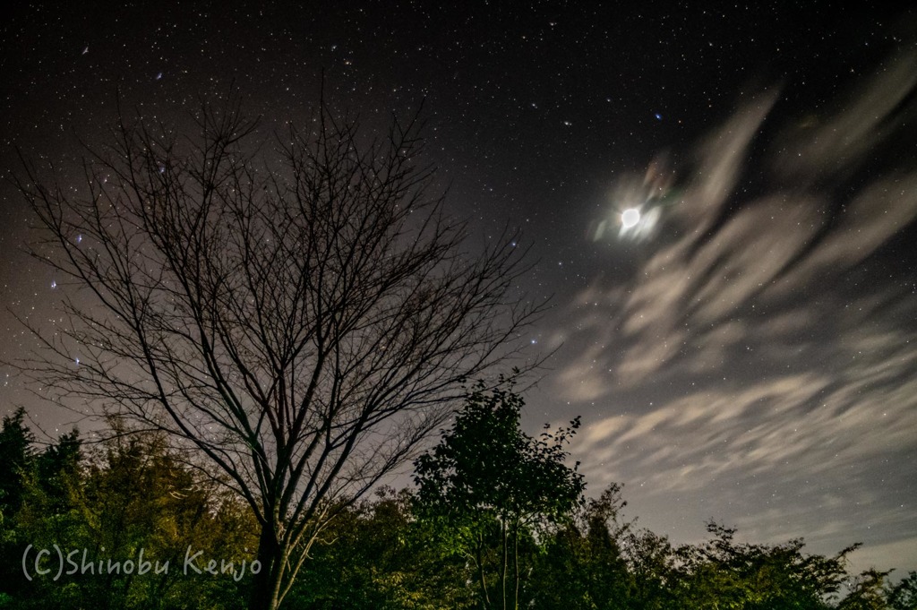 月夜の星空