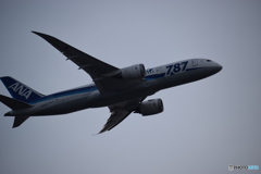 787ロゴ機