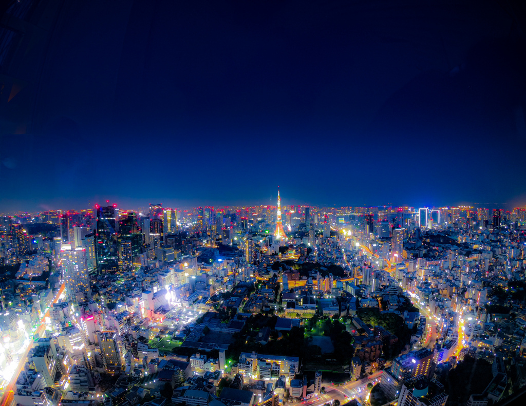 東京Night view