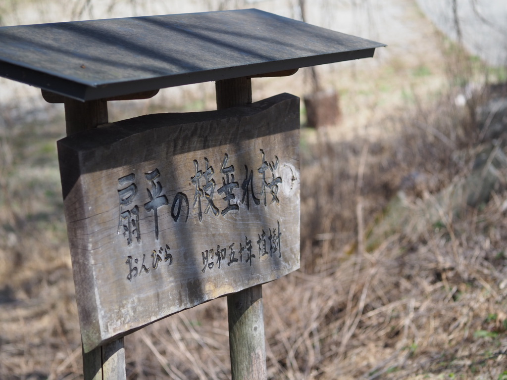 南信の風景