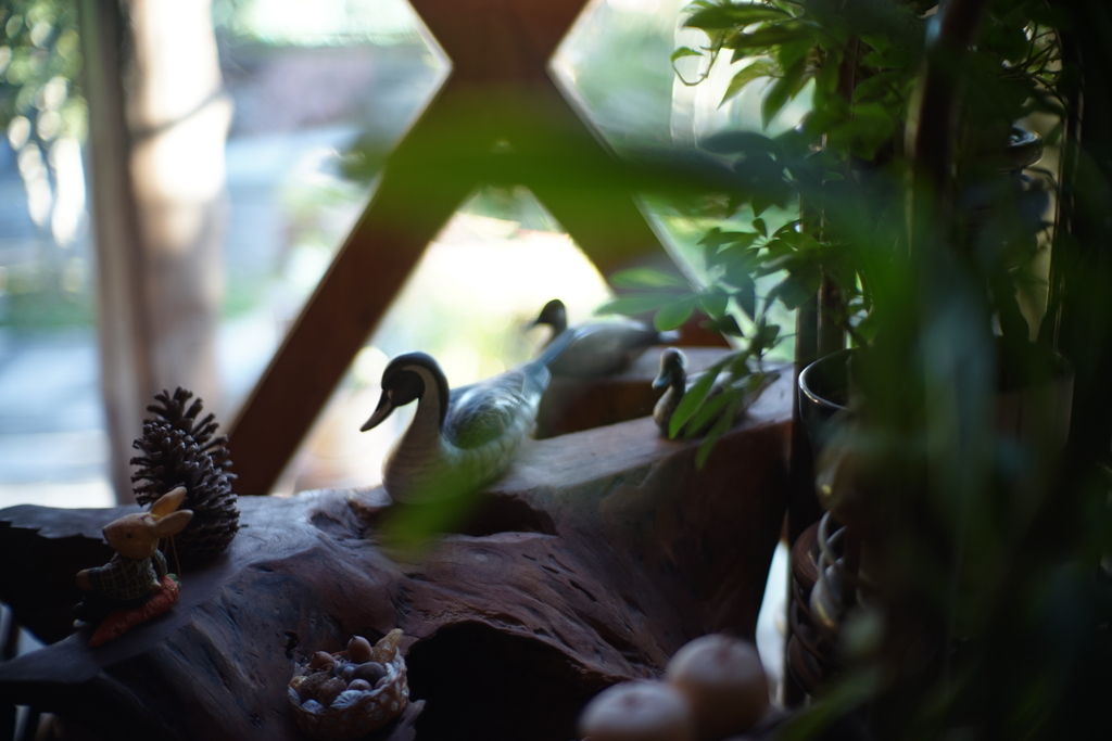 7artisans50mmf1.1試し撮り３