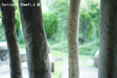 7artisans 35mmf1.4試写(f2.8)
