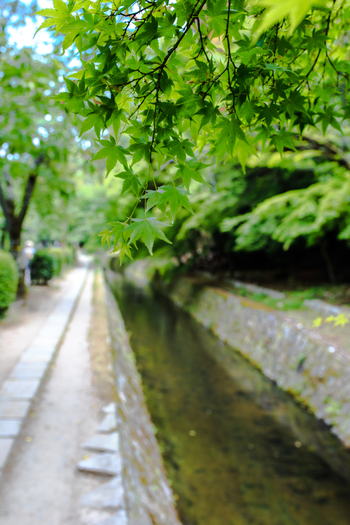 哲学の道