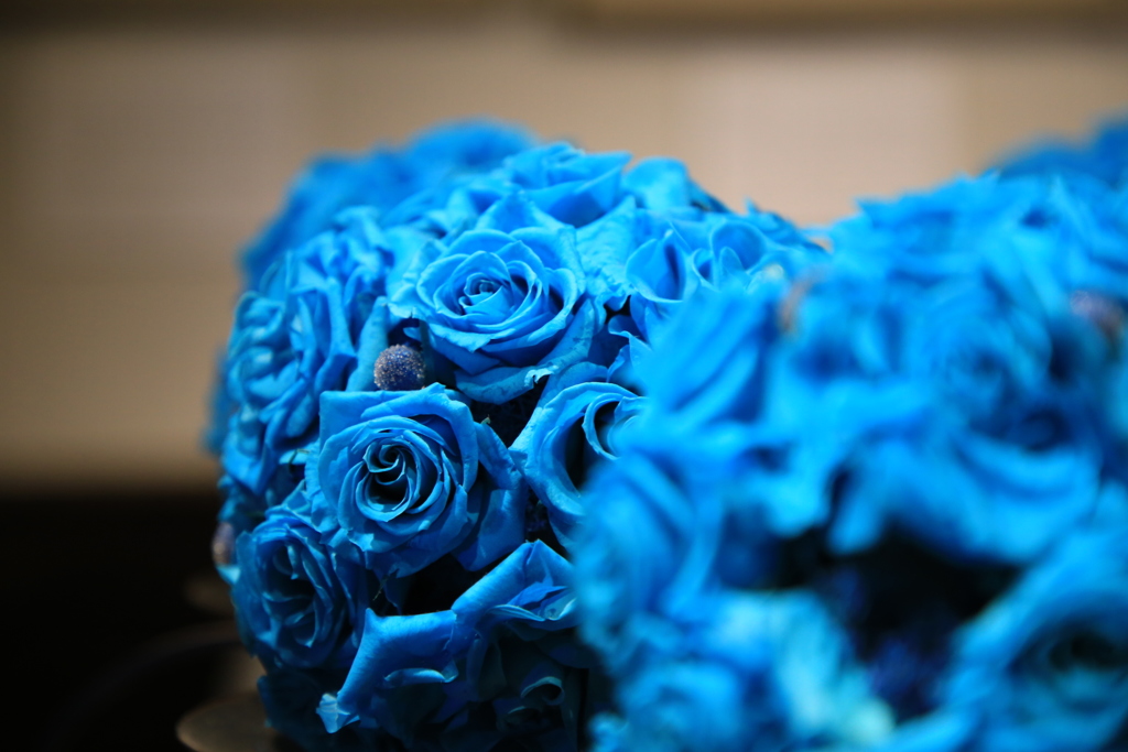 164蒼薔薇