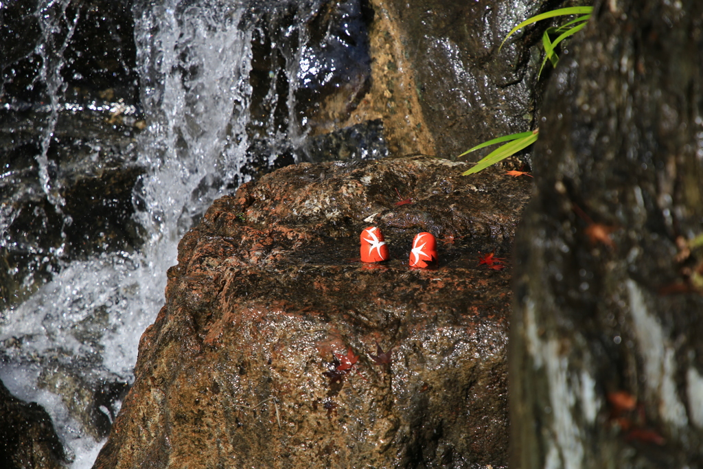 水浸し