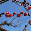 まだ早かった