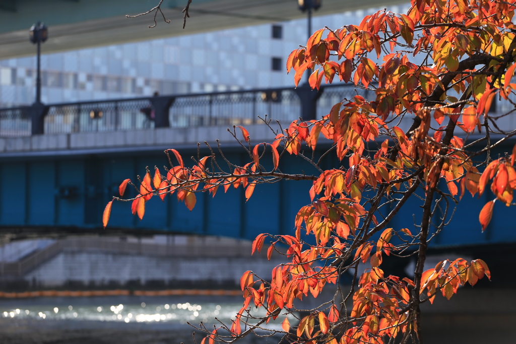 天満橋