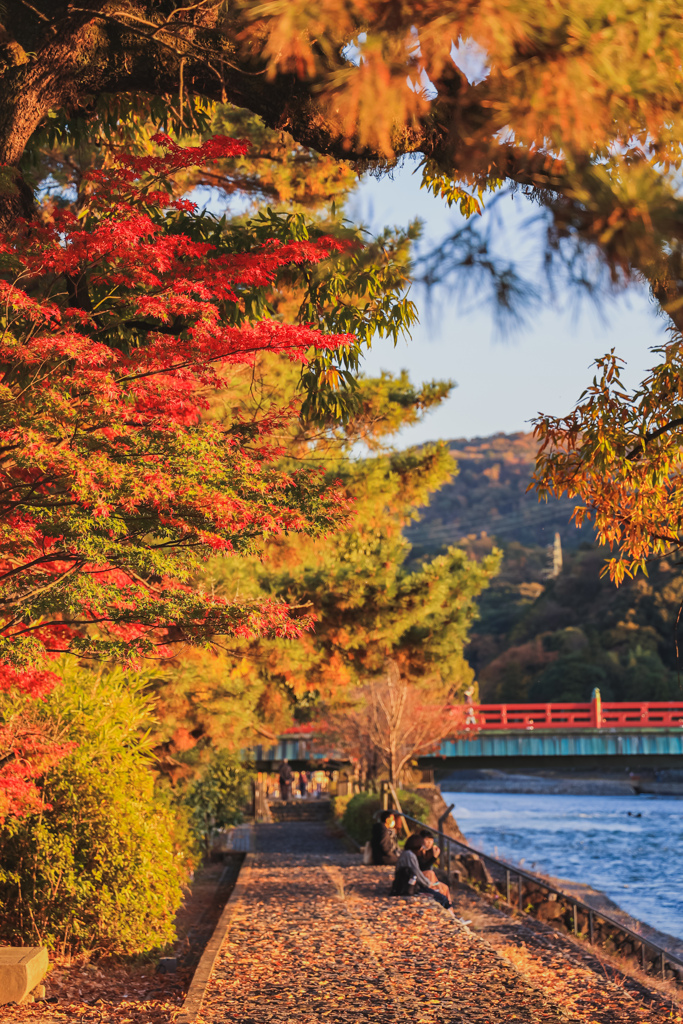 宇治紅葉