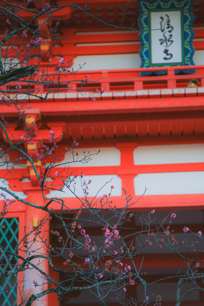 清水寺と梅