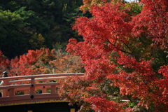 紅葉と朱橋