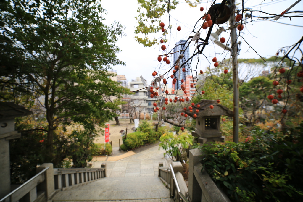 三光神社より