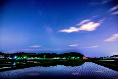 蛙(かわず)の鳴く夜