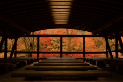 紅葉