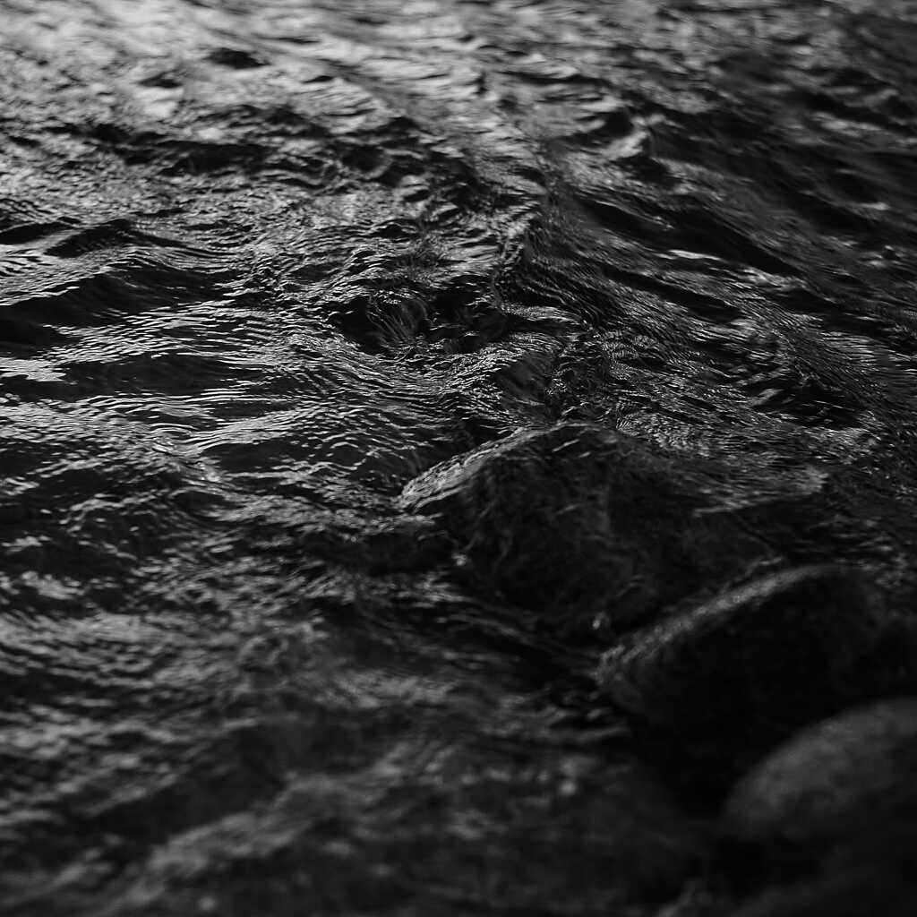 IMG_20200801_041342_487