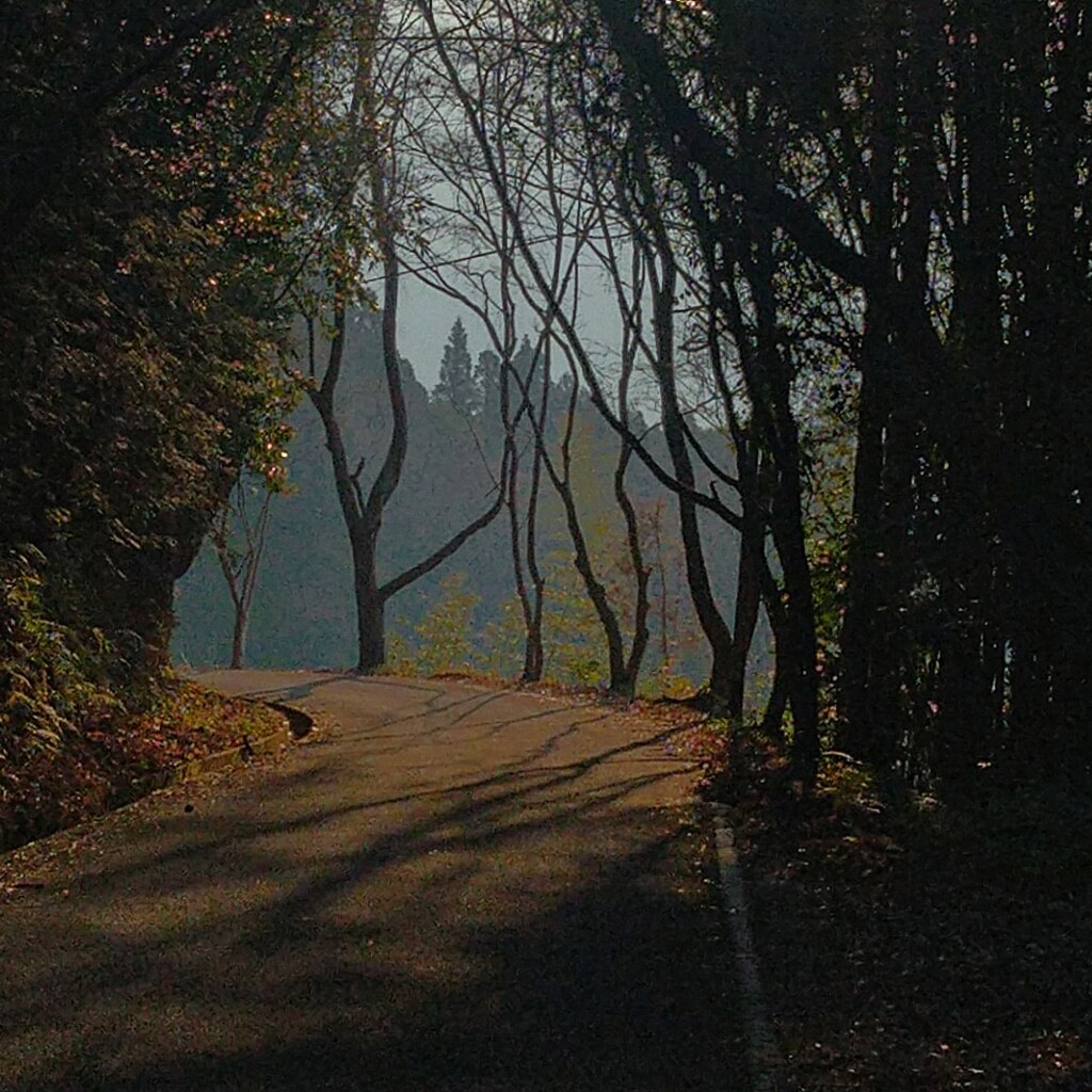 山道