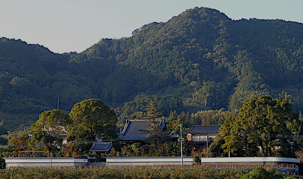 志波龍光山円清寺