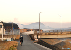 自転車通学