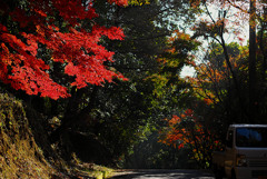 愛車と共に