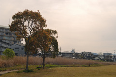 静かな公園