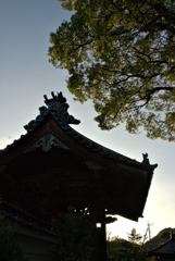 有馬さんが小僧の頃居たお寺