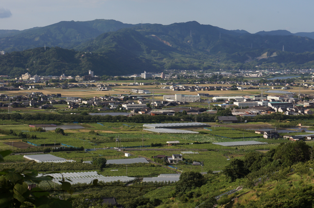 展望