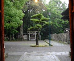 神社、山門。