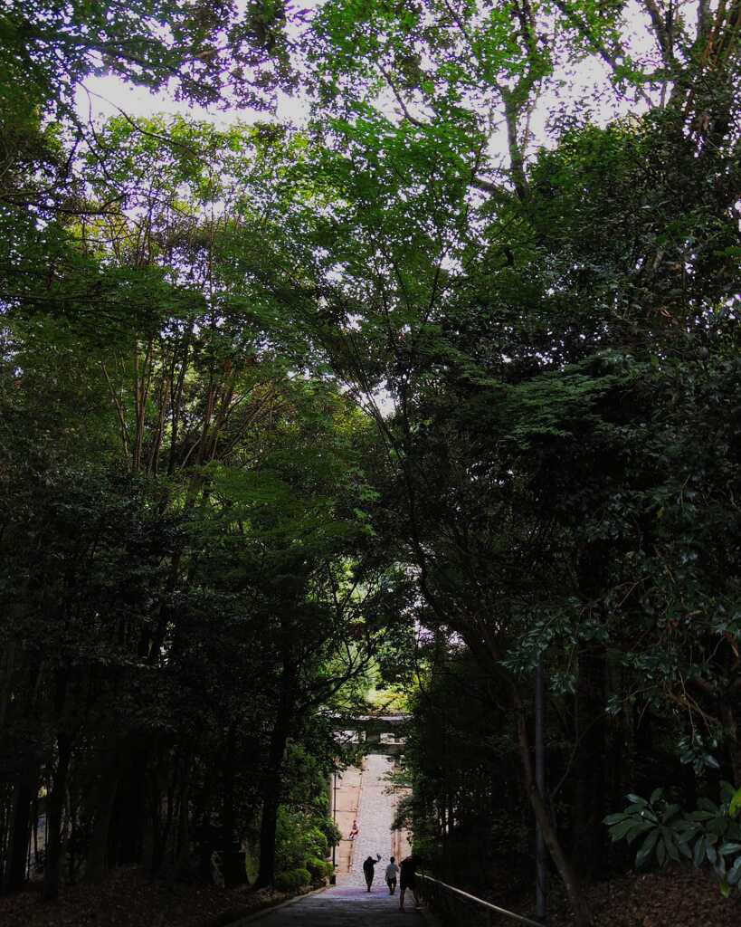 IMG_20200827_202926_448