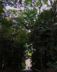 IMG_20200827_202926_448