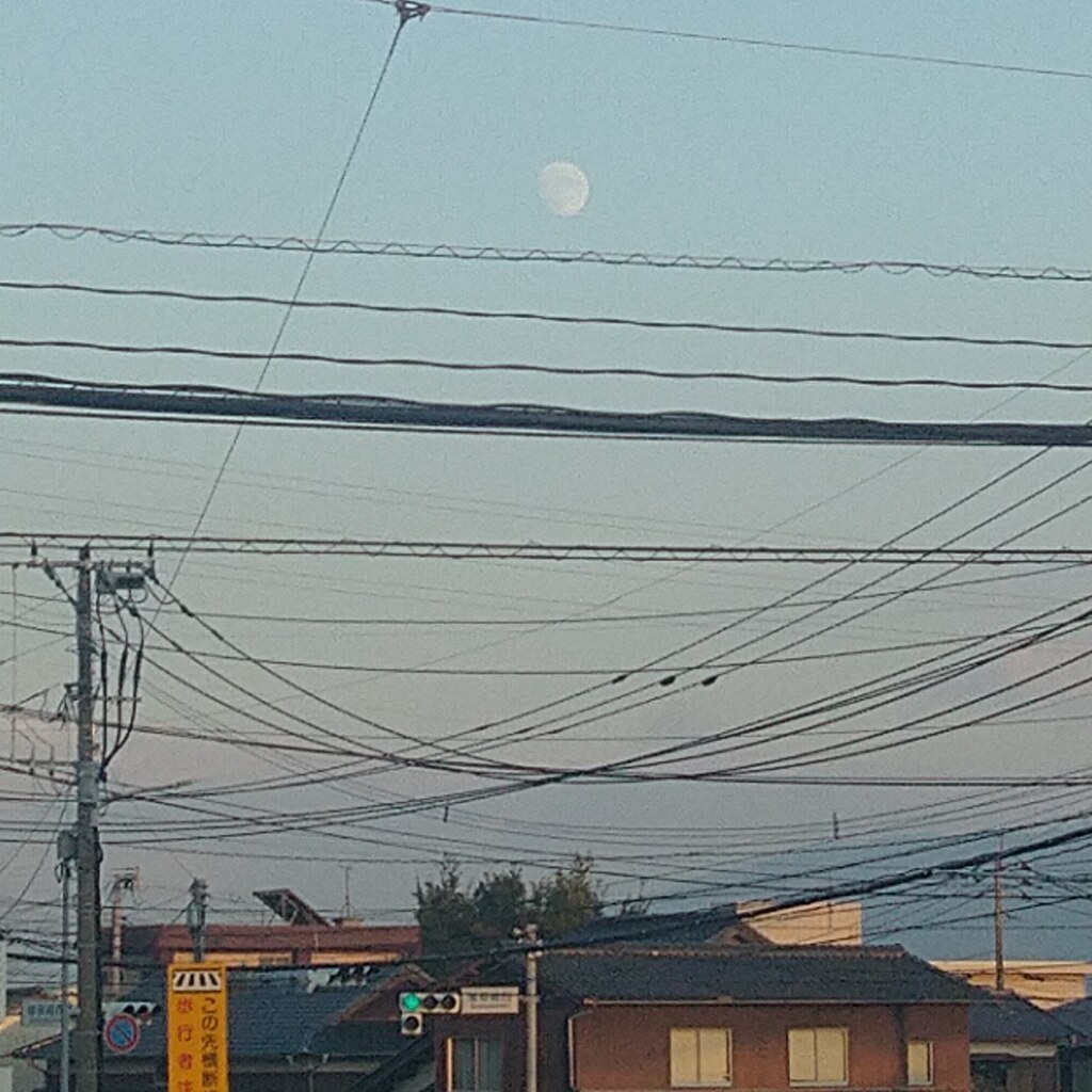 あっ！月だ！