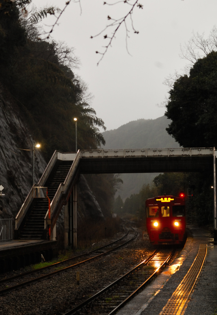 雨の駅