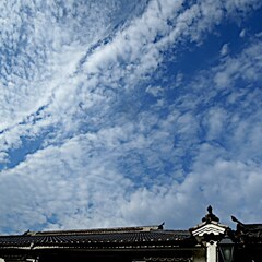 IMG_20211029_124016_310