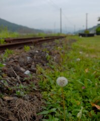 線路沿い