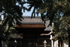 梅林寺の夏