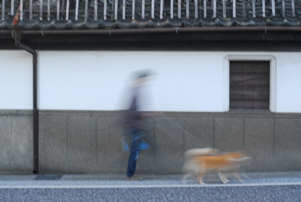 朝んぽ