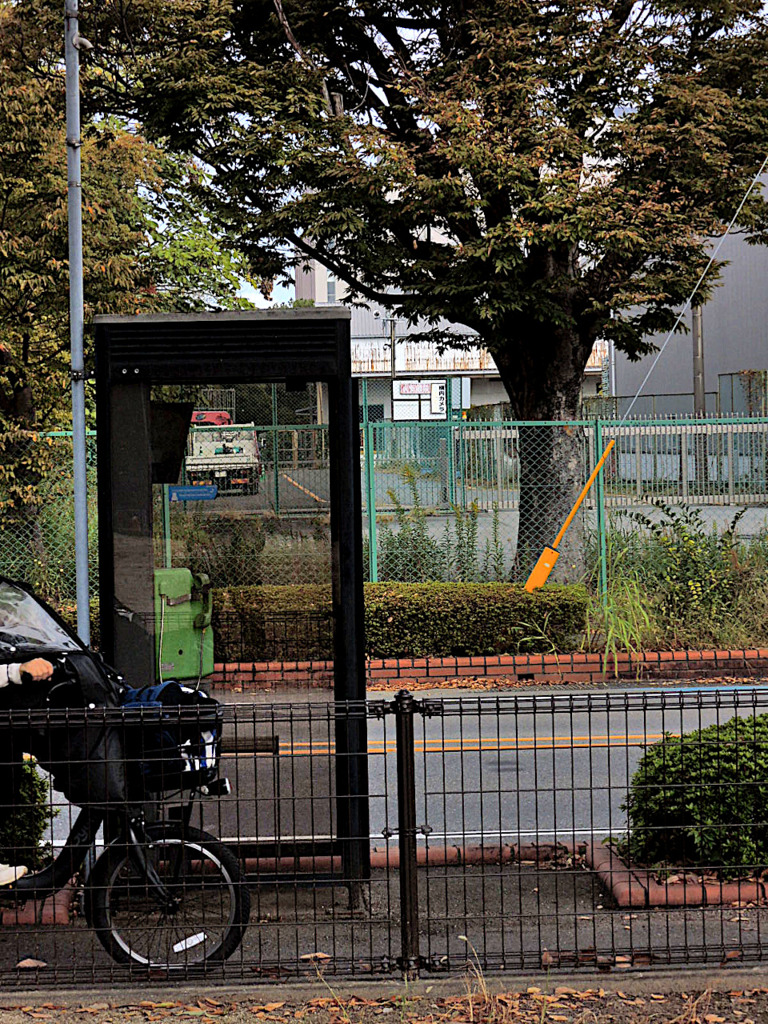 公園から