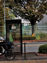 公園から