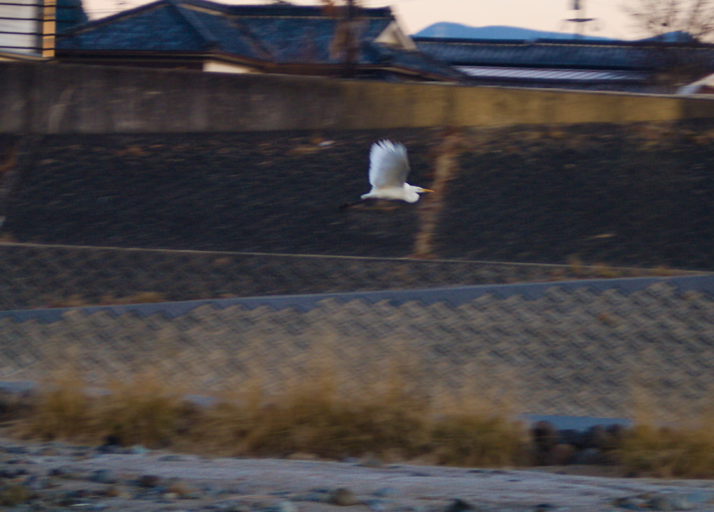 流し鳥