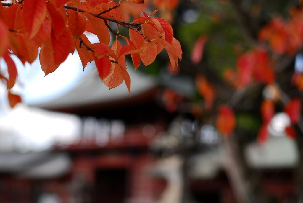 祇園社