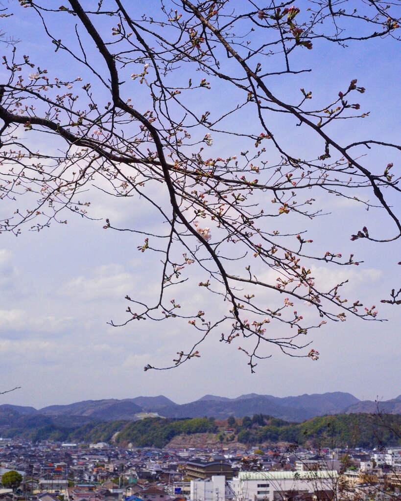 丘の上