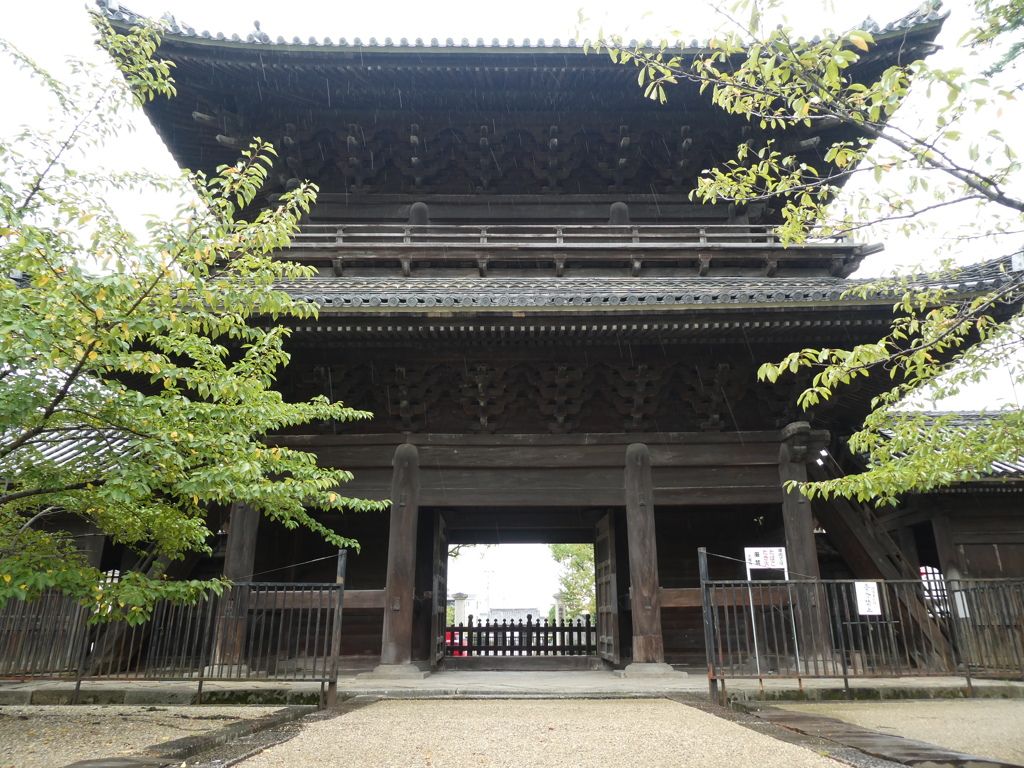 大樹寺